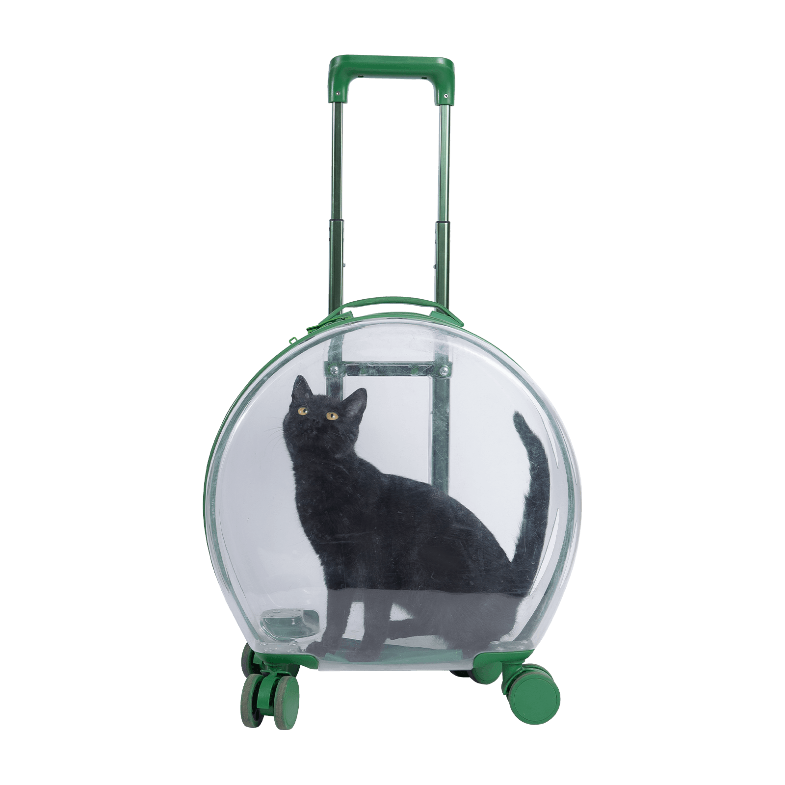کیف چمدان حمل و نقل خانگی PC Trolley Pet Carrier چمدان شفاف با کیفیت بالا در فضای باز